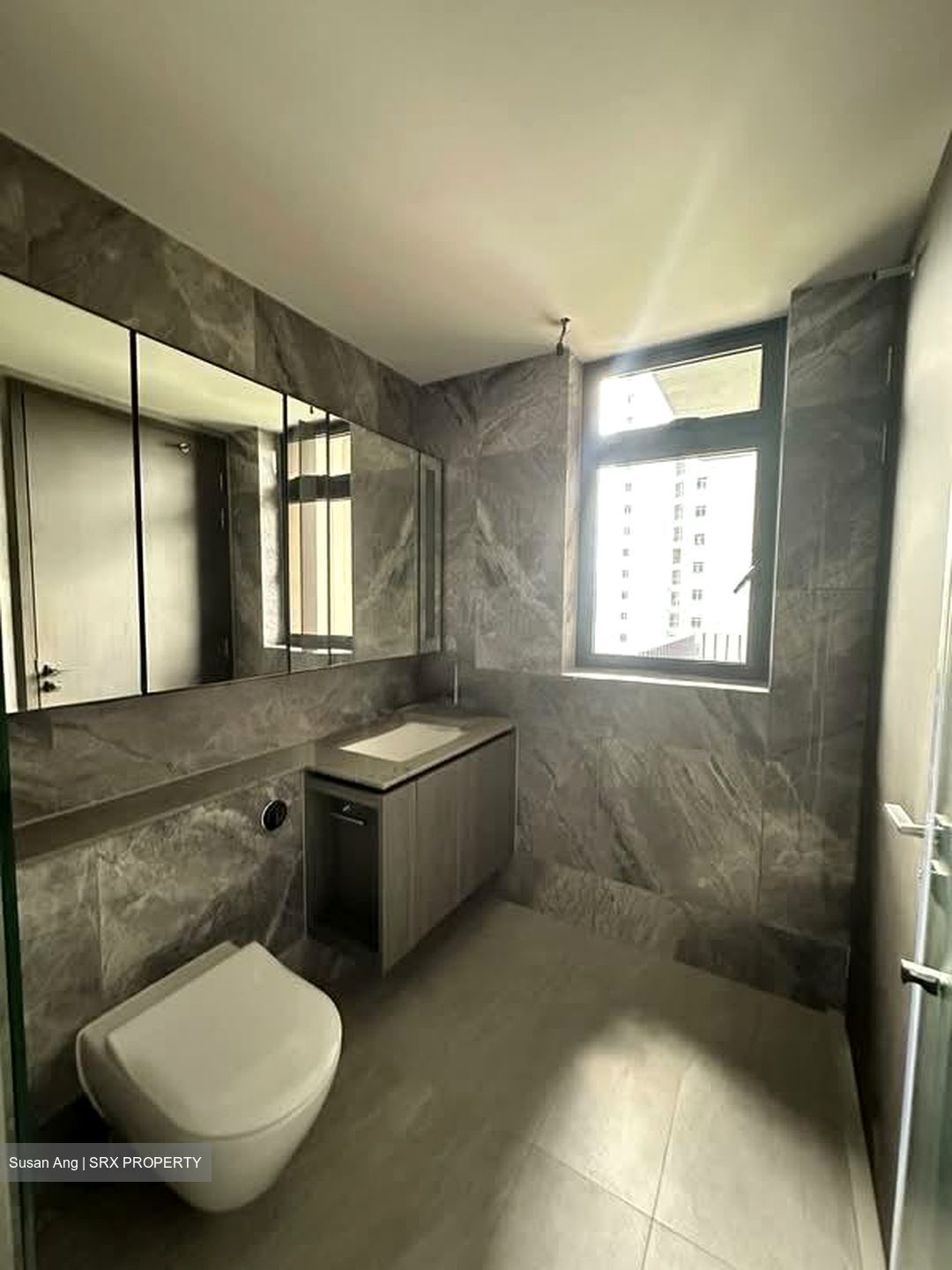 Piccadilly Grand (D8), Apartment #595845961